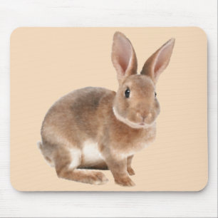 Rex Rabbit Mouse Mat