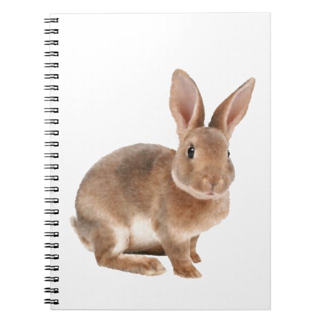 Rex rabbit notebook (Front)