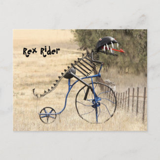 Rex Rider Postcard