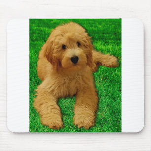 Rex The Goldendoodle Mouse Mat