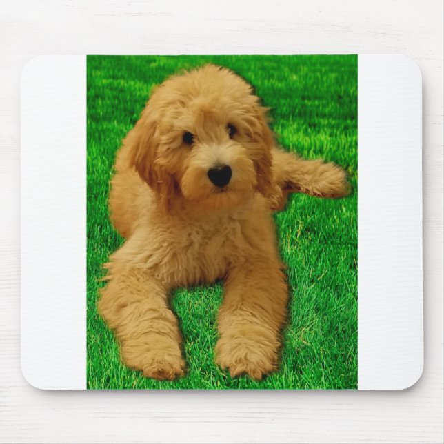 Rex The Goldendoodle Mouse Mat (Front)