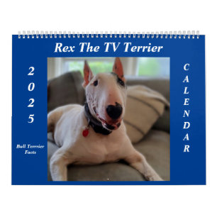 Rex The TV Terrier 2025 Bull Terrier Facts Calenda Calendar