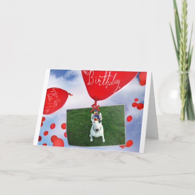 Rex The TV Terrier Birthday card (Front)