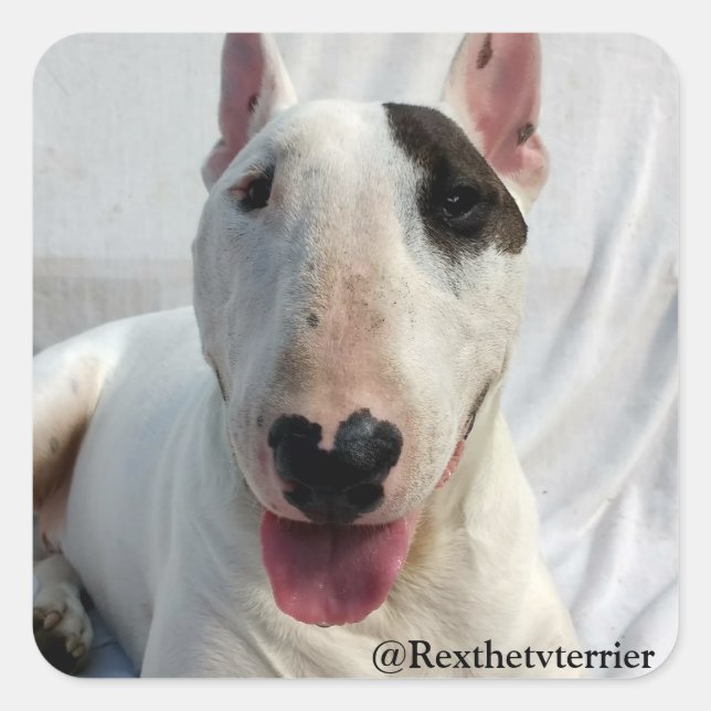 Rex The TV Terrier sticker (Front)