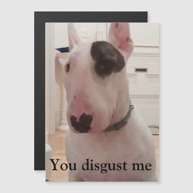 Rex The TV Terrier You Disgust Me Magnet (Front/Back)