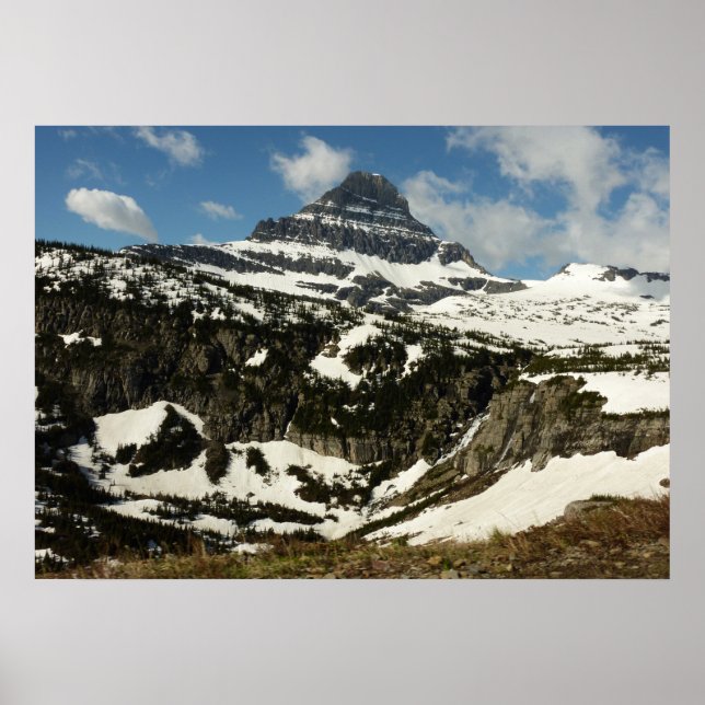 Reynolds Mountain from Logan Pass at Glacier Park Poster (Front)