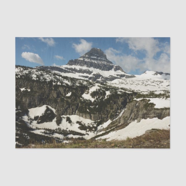 Reynolds Mountain from Logan Pass at Glacier Park Tissue Paper (Front)