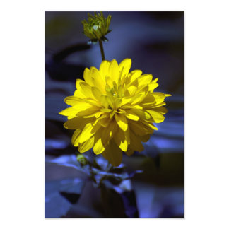 Rhapsody in blue photo print