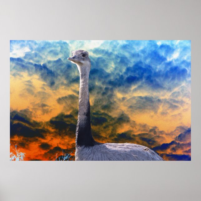 Rhea on Storm Cloud Sky Poster (Front)