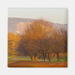 Rheinaue Park Magnet