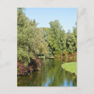 Rheinaue Park Postcard