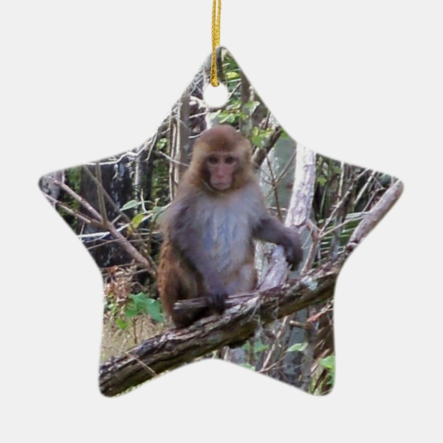 rhesus macaque monkey ceramic tree decoration (Front)