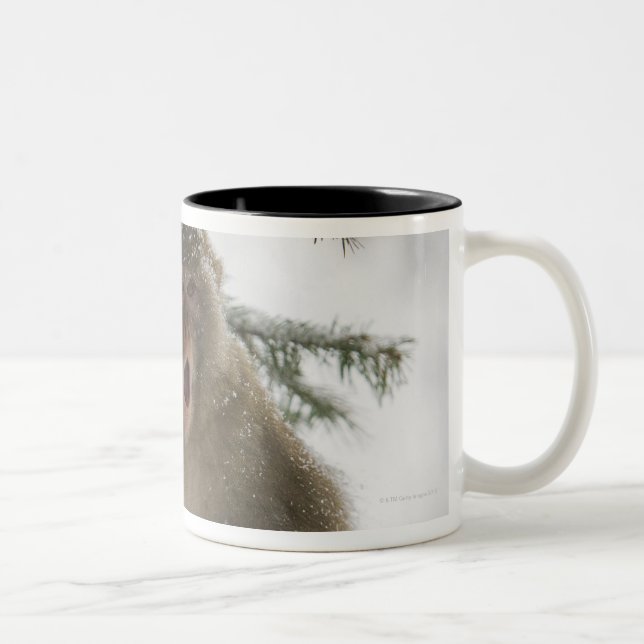 Rhesus Macaque monkey (Macaca mulatta) sitting Two-Tone Coffee Mug (Right)