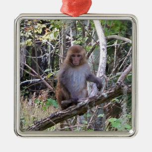 rhesus macaque monkey metal tree decoration