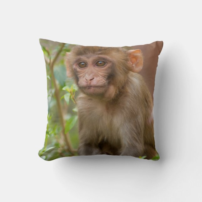 Rhesus Monkey Baby, Monkey Temple, Jaipur Cushion (Front)