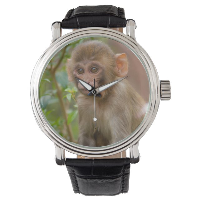 Rhesus Monkey Baby, Monkey Temple, Jaipur Watch (Front)