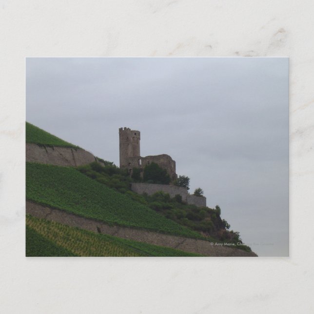 Rhine Castle Postcard (Front)