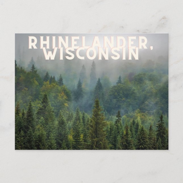 Rhinelander, Wisconsin Forest Up North Postcard (Front)