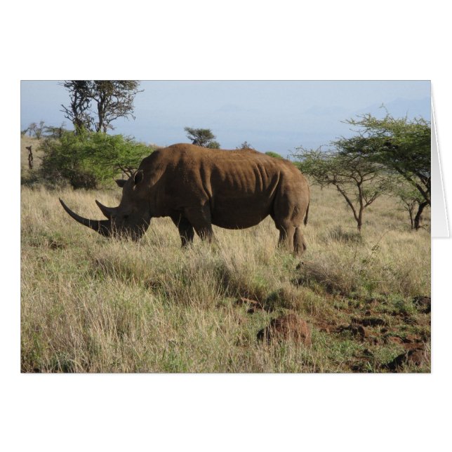 Rhino (Front Horizontal)