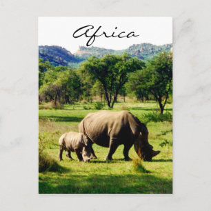 rhino africa postcard