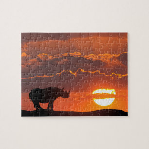 Rhino at sunset, Masai Mara, Kenya Jigsaw Puzzle