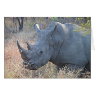 Rhino Card