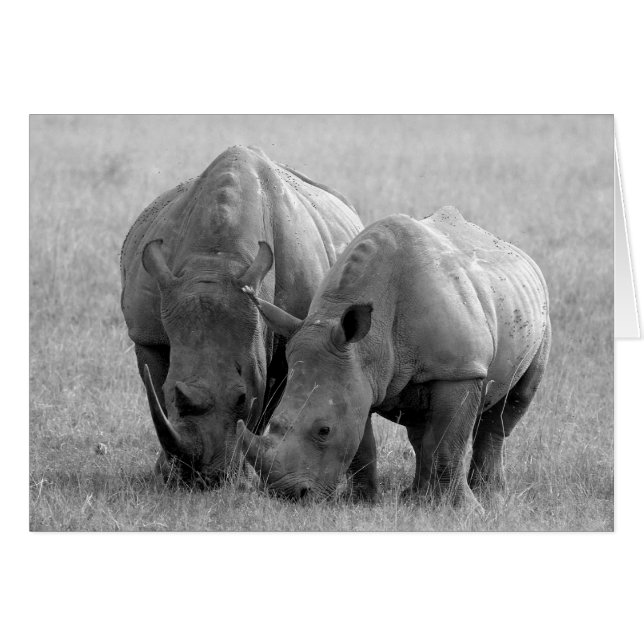Rhino Card black & white (Front Horizontal)