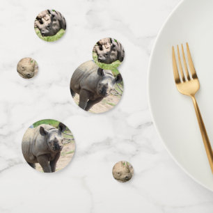 Rhino Confetti