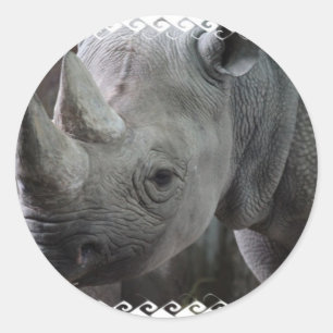 Rhino Facts Stickers