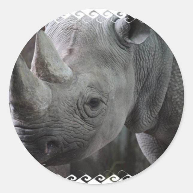 Rhino Facts Stickers (Front)