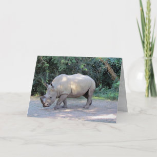 Rhino Greeting Card AK