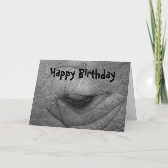 Rhino, Happy Birthday Card (Front)