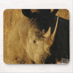 Rhino Mouse Pad
