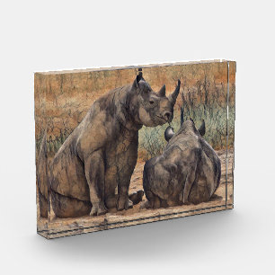 Rhino Oil Paint, Photo Block