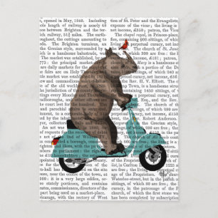 Rhino on Moped Postcard