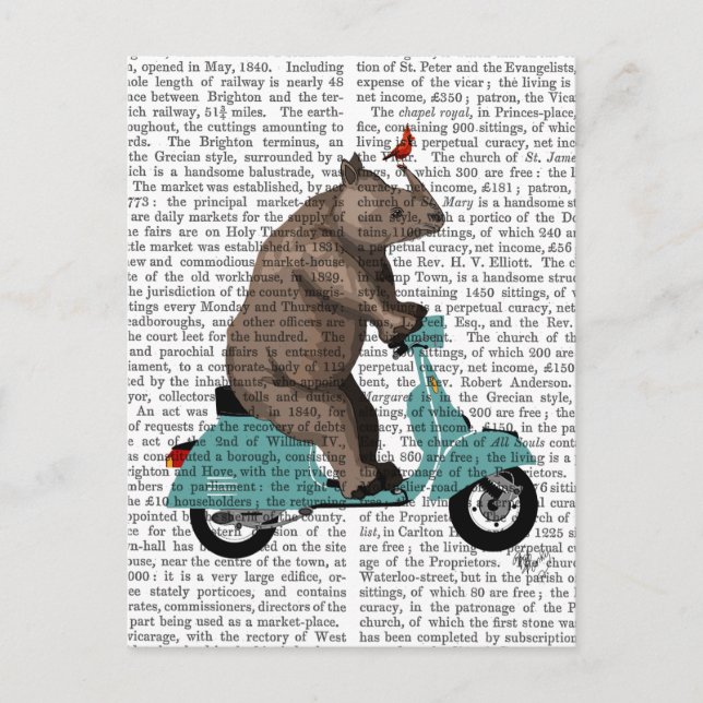 Rhino on Moped Postcard (Front)