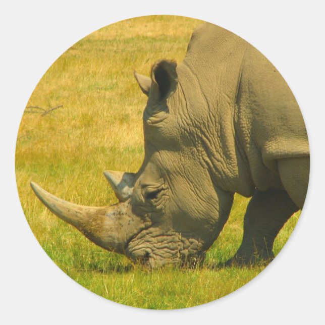 Rhino Photo Sticker (Front)