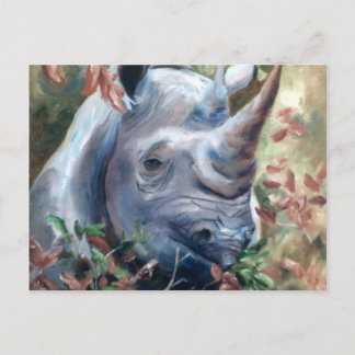 Rhino Postcard