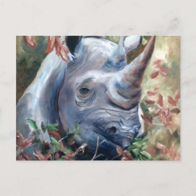 Rhino Postcard (Front)
