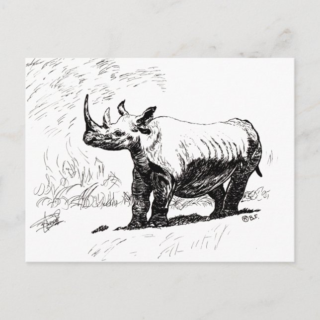 RHINO POSTCARD (Front)