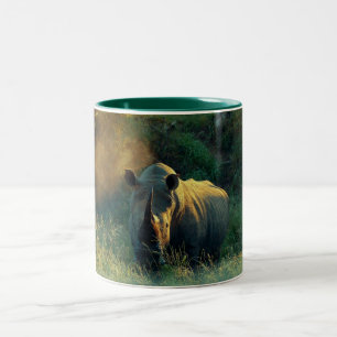 Rhino stare coffee mugs & cups