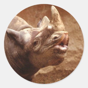 Rhino sticker