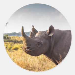 Rhino Sticker