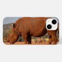Rhino with mud on skin photo
