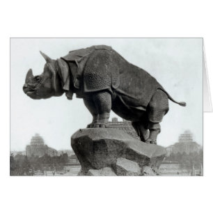 Rhinoceros