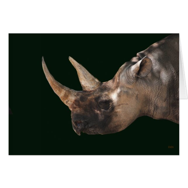 Rhinoceros (Front Horizontal)