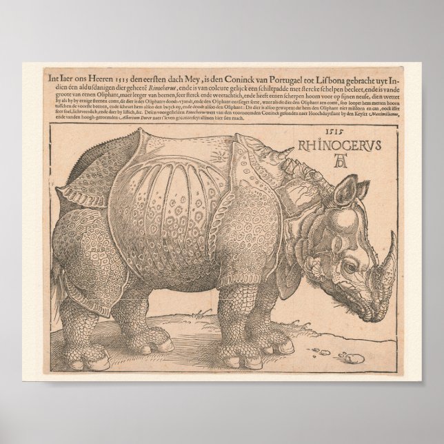 Rhinoceros -  Albrecht Dürer 1515 Woodcut Gravure Poster (Front)