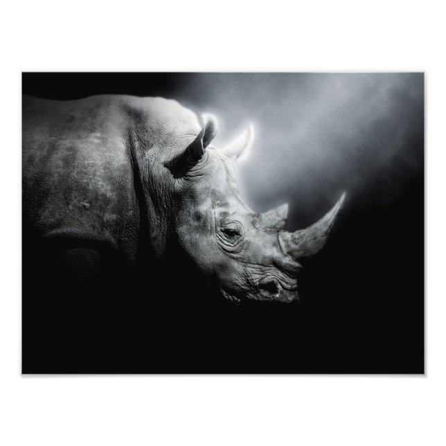 Rhinoceros Animal Forest Wild Jungle Nature Rhin Photo Print (Front)