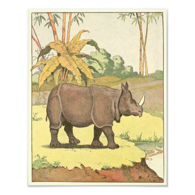 Rhinoceros at the Watering Hole Illustrated Photo Print (Front)