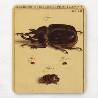 Rhinoceros Beetles Mouse Mat